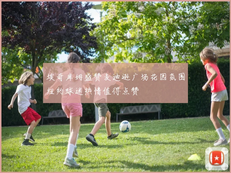 埃奇库姆盛赞麦迪逊广场花园氛围纽约球迷热情值得点赞