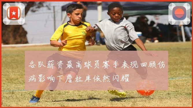 各队薪资最高球员赛季表现回顾伤病影响下詹杜库依然闪耀