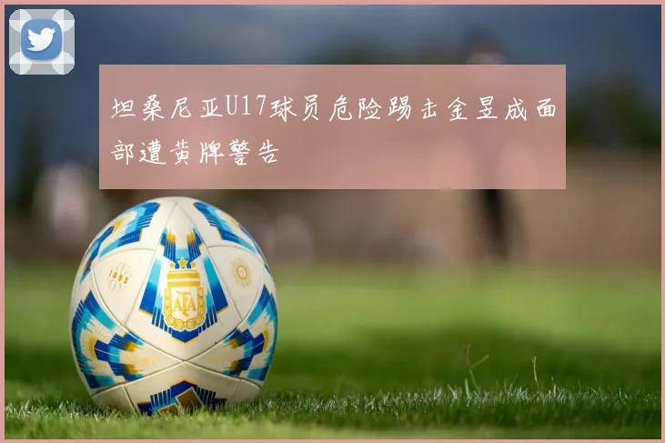 坦桑尼亚U17球员危险踢击金昱成面部遭黄牌警告